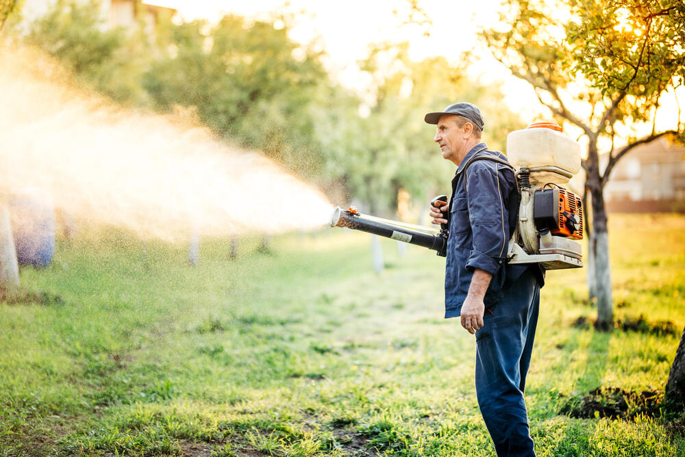 professional in blue uniform spraying mosquito spray around commercial property